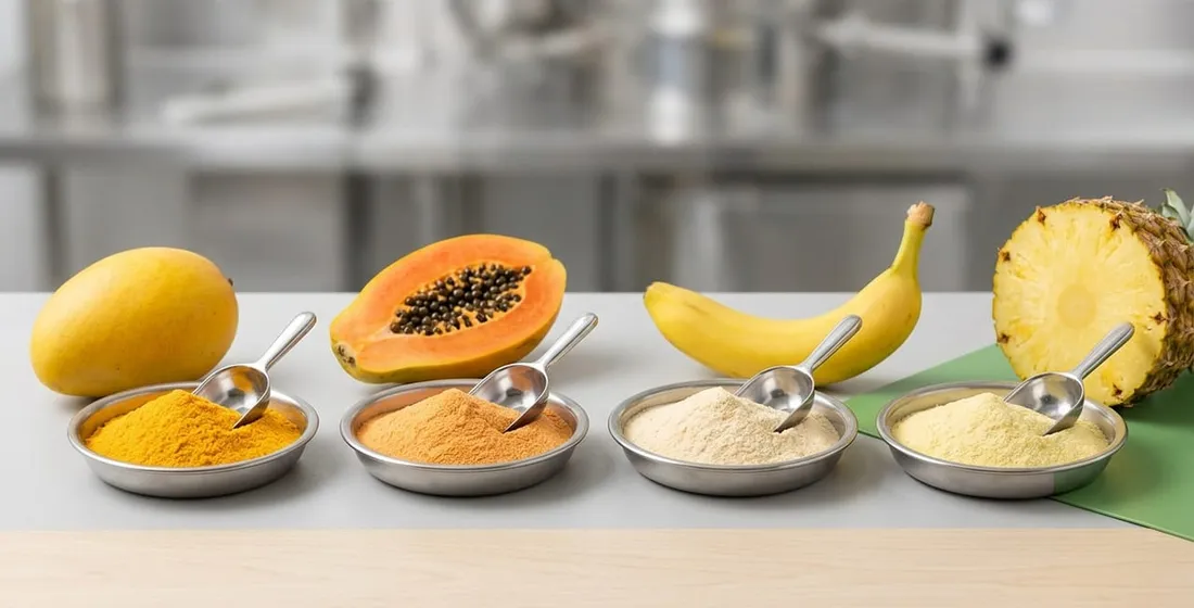 Spray-dried fruit powder contract manufacturing in Sri Lanka