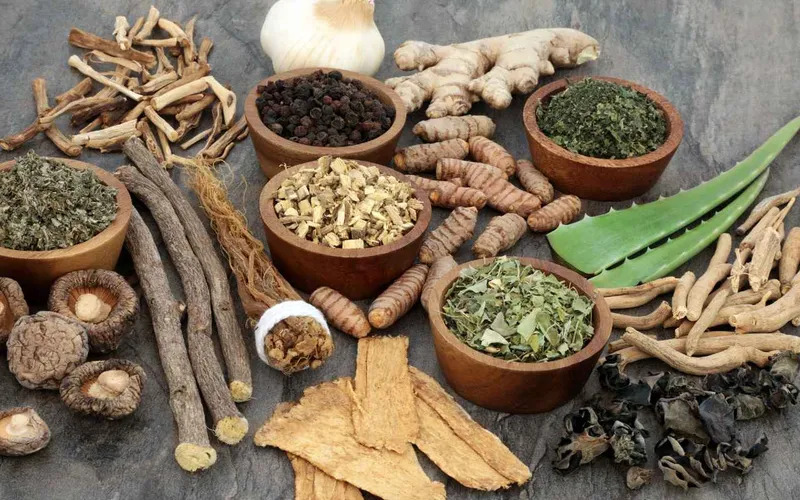 Herbs