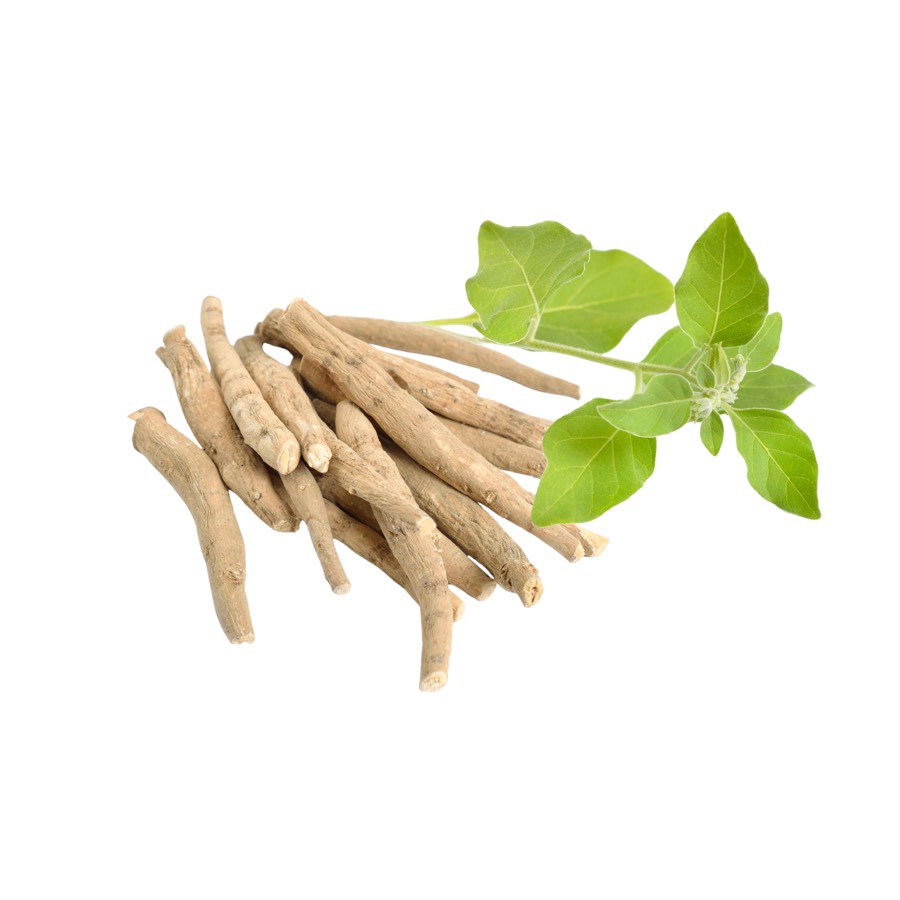 Ashwagandha Capsules