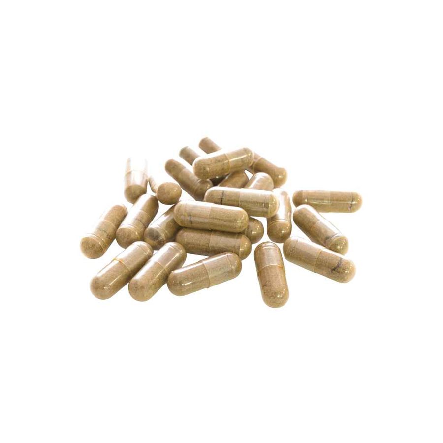 Fenugreek Capsules
