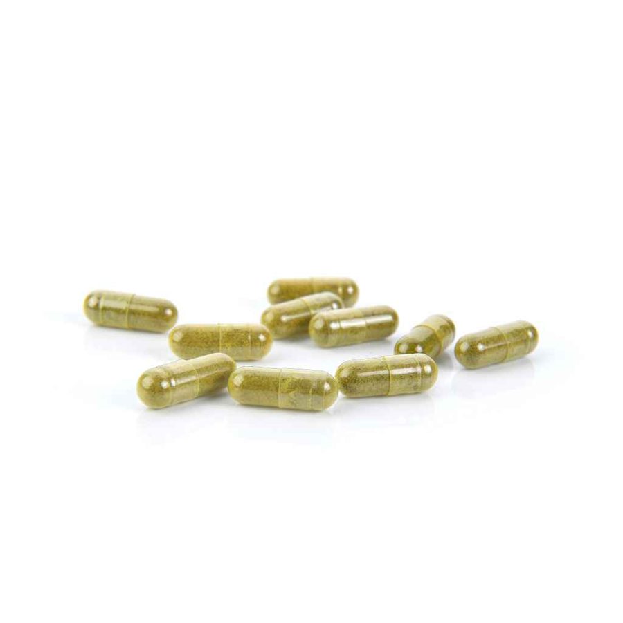 Green Tea Extract Capsules