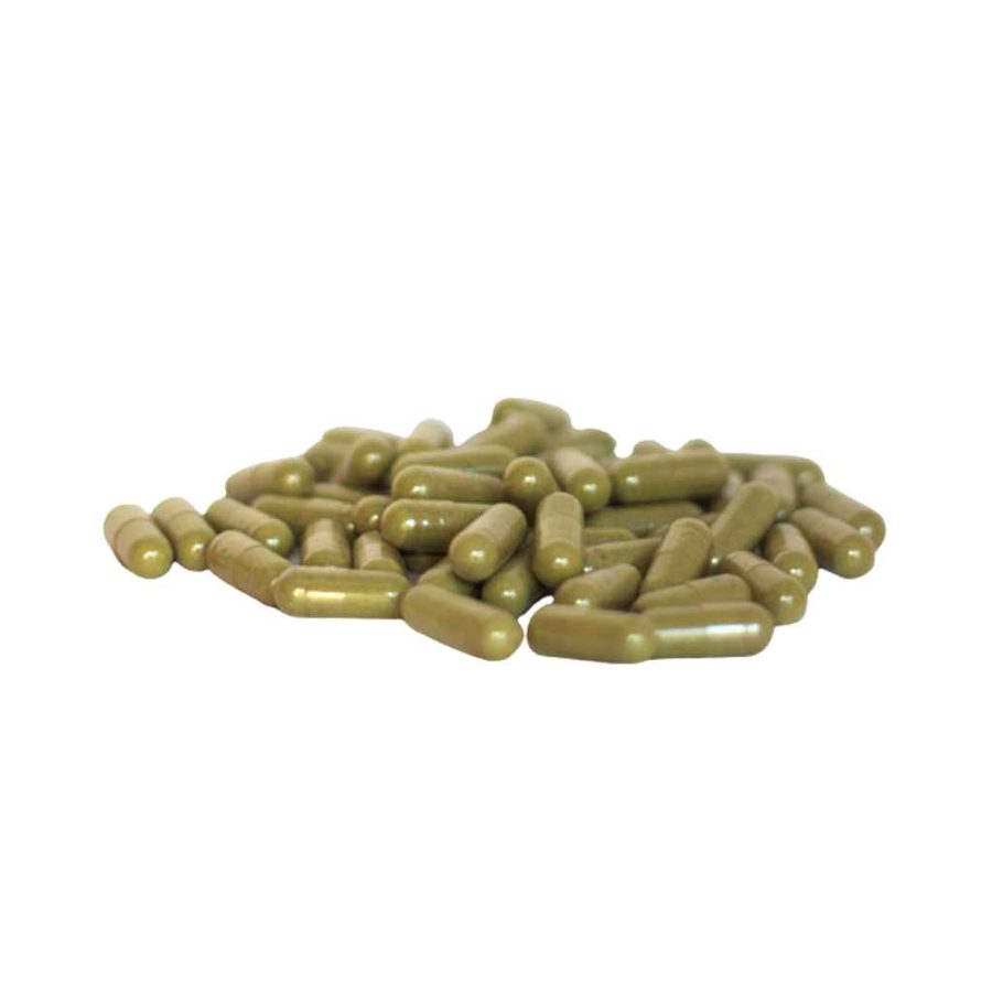 Margosa Capsules