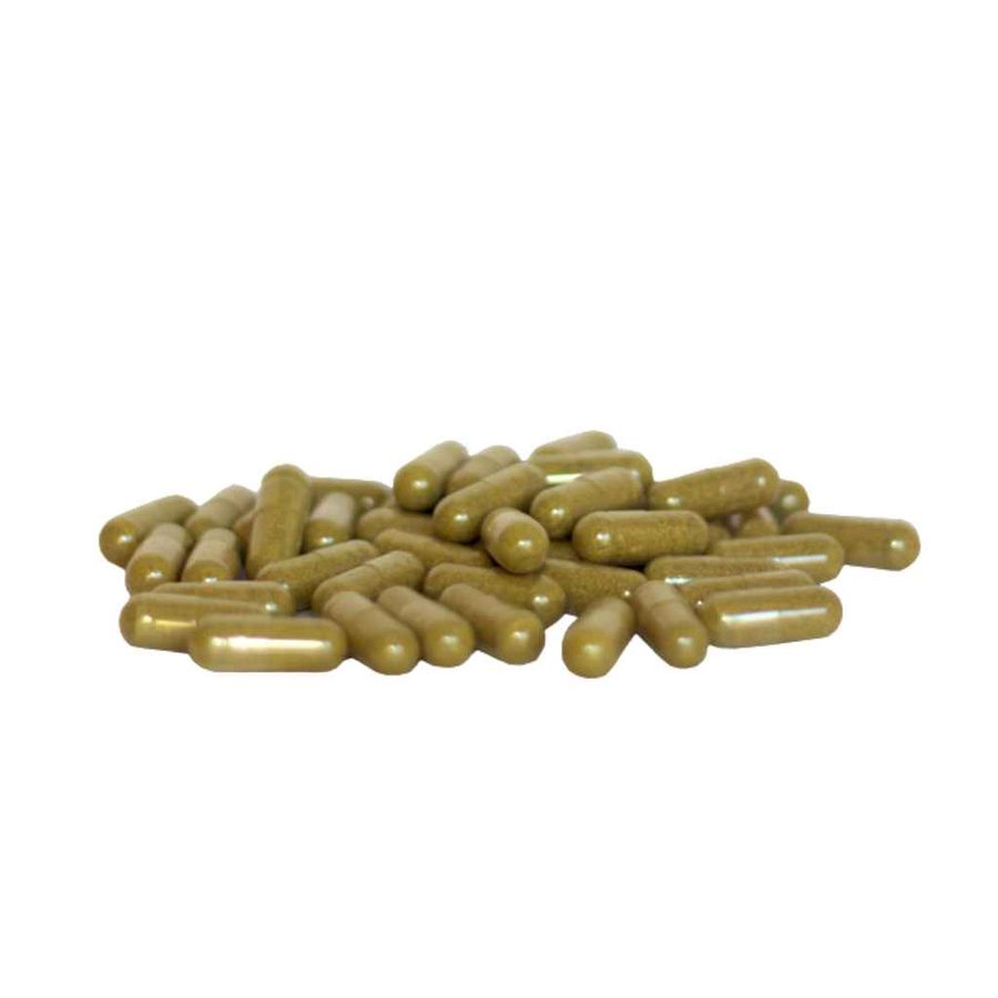 Papaya Leaves Capsules