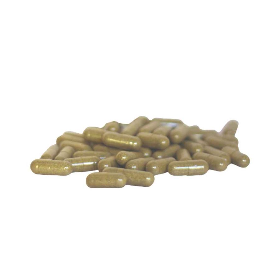 Sarsaparilla Capsules