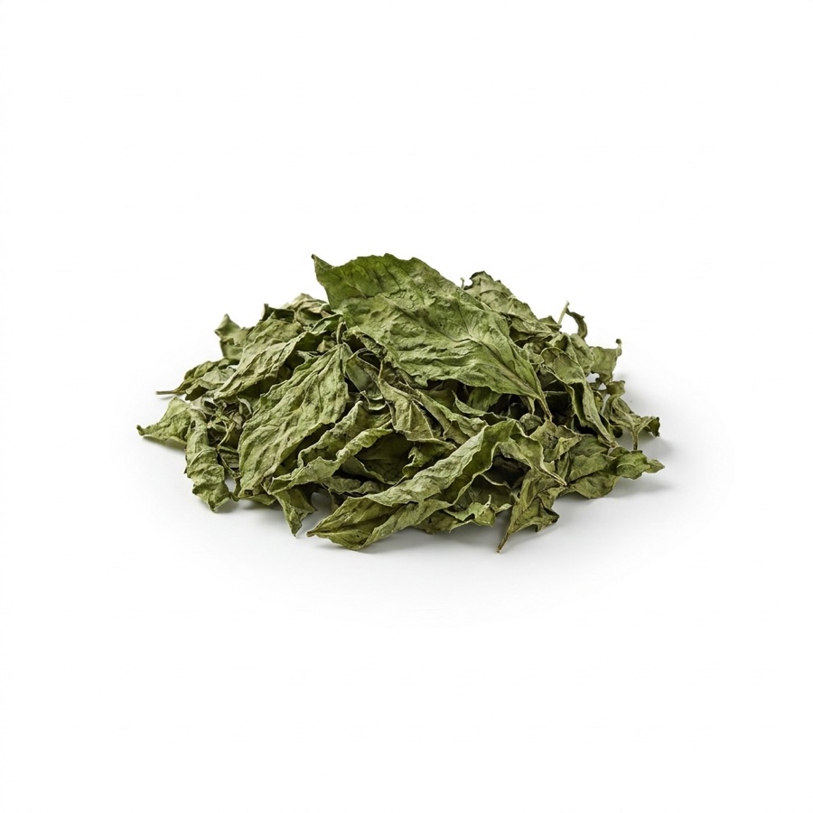 Basil Leaves