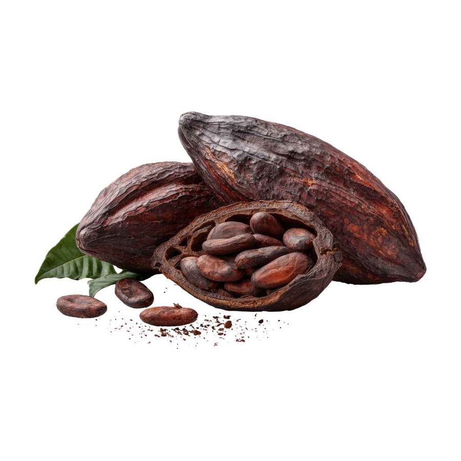 Cocoa Beans