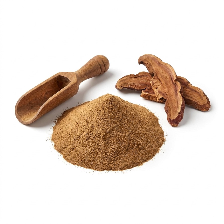 Ganoderma Powder