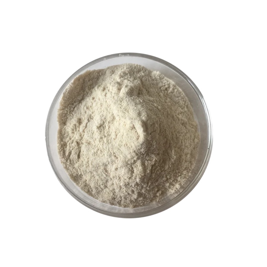 Oat Milk Powder